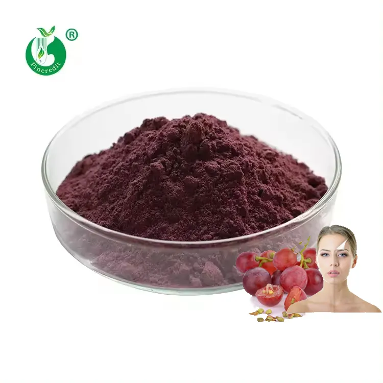 Extrato de sementes de uva orgânica natural 95% OPC em pó Pincredit Supply