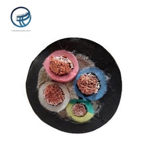 Giá Rẻ Giá 2-Lõi 16Mm 25Mm 35Mm Đồng Cáp Điện Cao Su Cách Điện Điện Áp Thấp Cho Nhà Máy Điện Công Nghiệp Thiết Bị Gia Dụng - Product Image 2