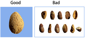 Almond <strong>Kernel</strong> Optic Colour Sorter <strong>Machine</strong> Rice Grain Processing Equipment Colour Sorter Almond Color <strong>Sorting</strong> <strong>Machine</strong> - Product Image 3
