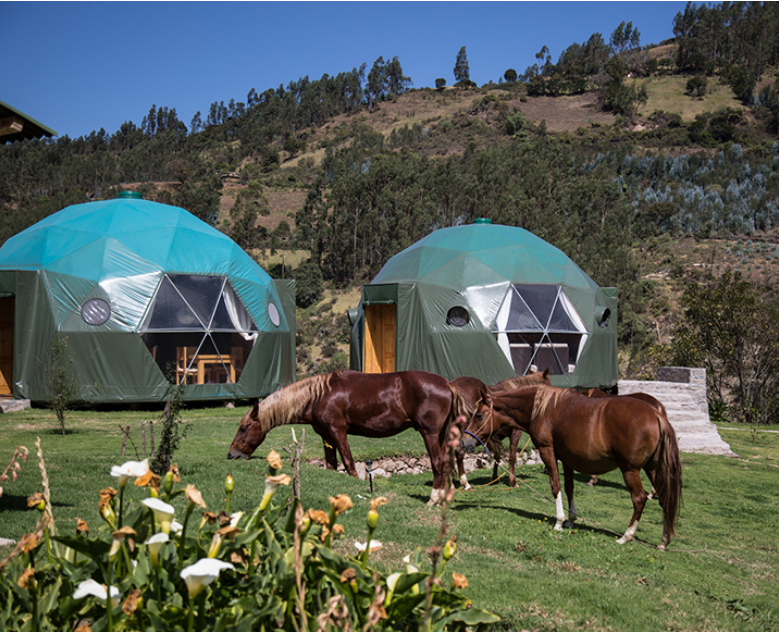 กำหนดเอง