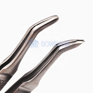 Nhổ nhổ răng nhíp nhổ gốc forcep Mẹo chọn nhíp dụng cụ chiết xuất phẫu thuật nha khoa - Product Image 5