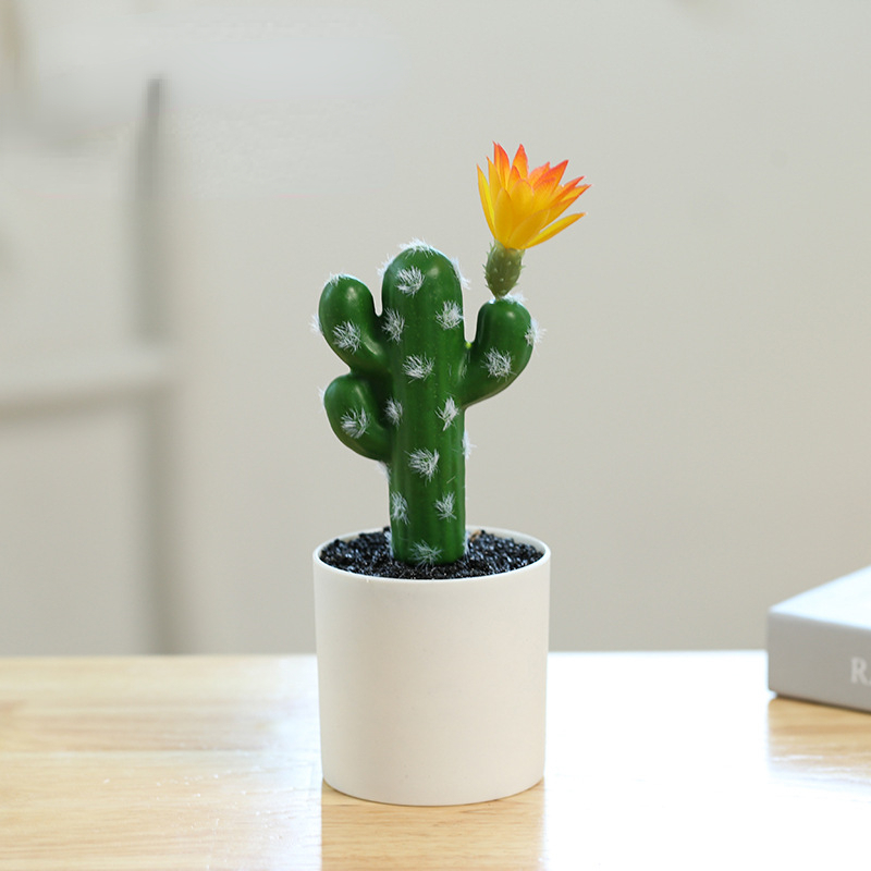 Small Pot Plant