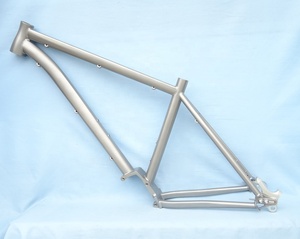CX ไทเทเนียม Pinion จักรยานกรอบสำหรับ Pinion P1.18 ระบบเกียร์เลื่อน dropout และแยกด้านหลัง Stay - Product Image 3