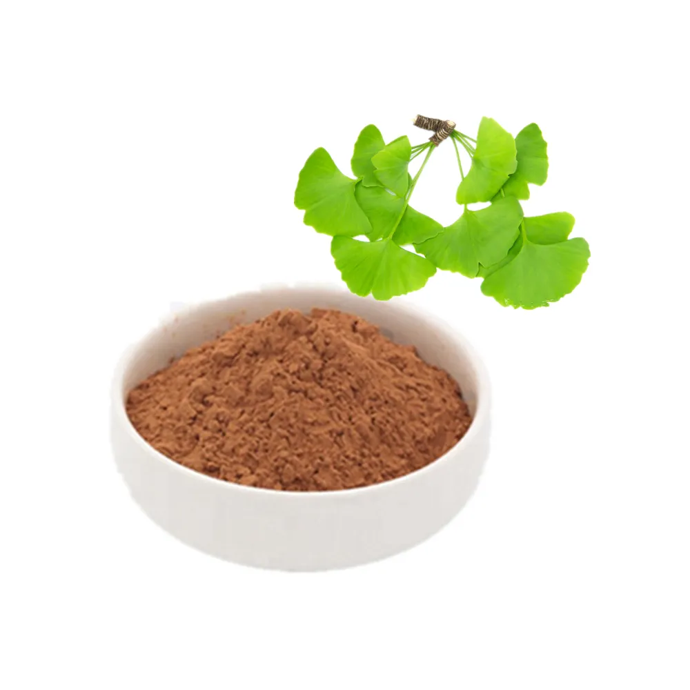 Chất lượng cao Ginkgo Biloba lá chiết xuất 24% flavonoid nước hòa tan Ginkgo Biloba chiết xuất 24 6