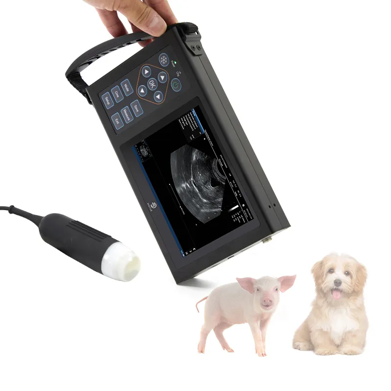 handheld medical wifi wireless ultrasound probe scanner machine portable 5.6-inch color ultrasound for outdoor