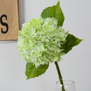 Y-H181 Chất Lượng Cao Nhân Tạo Hoa Tú Cầu Bất Cảm Ứng Cao Su Tú Cầu Lớn Đầu Màu Xanh Lá Cây Trắng Cao Su Hoa Tú Cầu Đám Cưới Hoa - Product Image 3