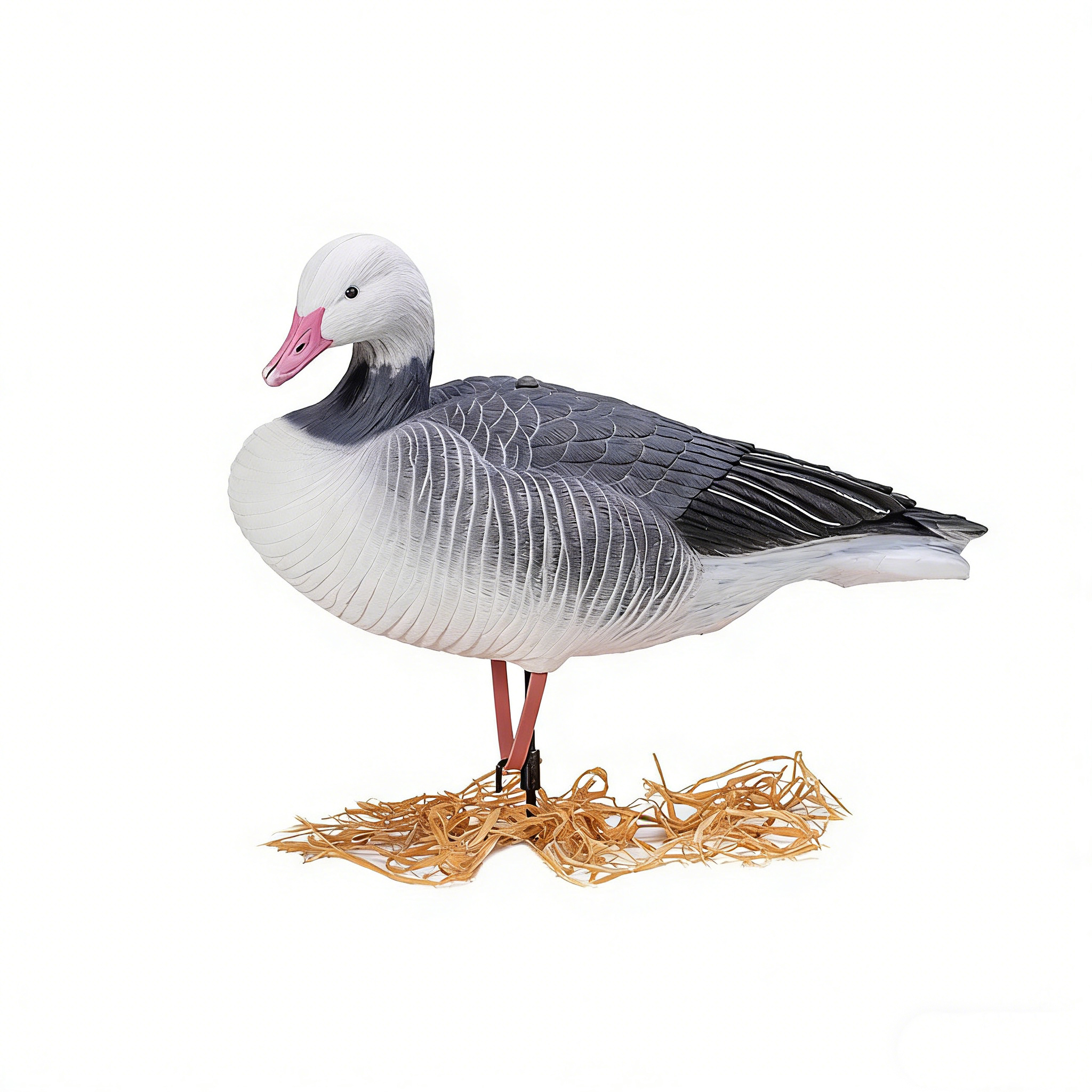 Rest Model+Ground Stake+Metal Hook+Rubber Belt