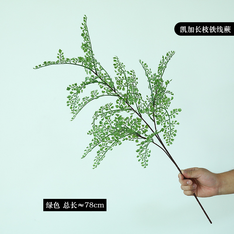 Caiga long branch adiantum green