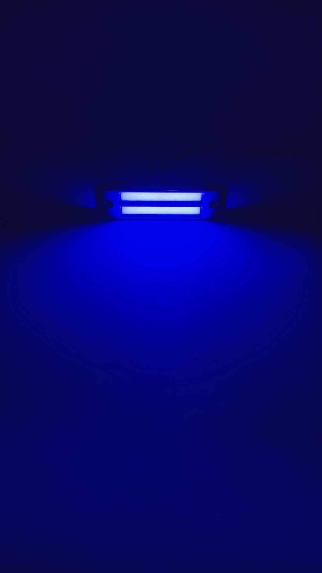 Bleu
