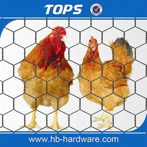 Máquina de malla de jaula de pájaros con control completamente automático, máquina de red de malla de alambre hexagonal