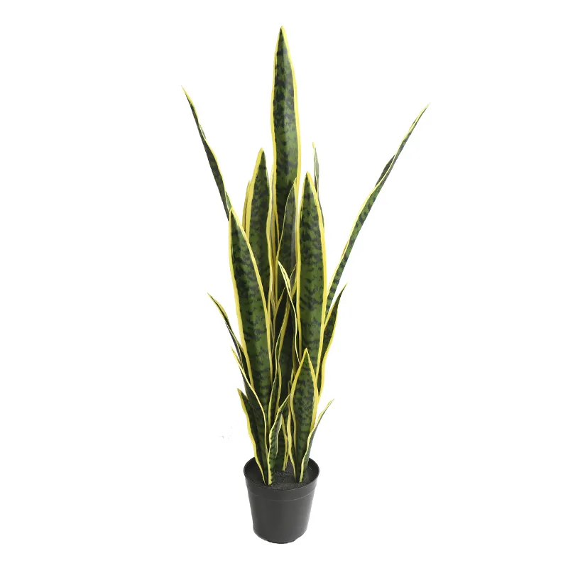 Sansevieria trifasciata-Planta de tigre de bonsái para decoración del hogar y jardín, serpiente Artificial en maceta, gran oferta