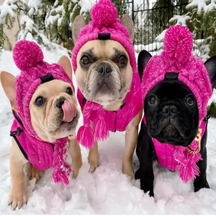 Sombrero de punto cálido para perros, gorro de ganchillo para Otoño e Invierno