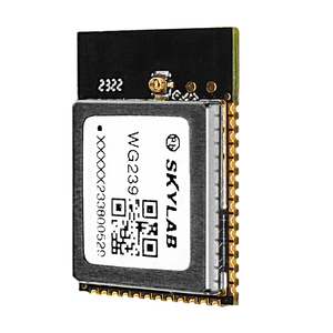 Módulos WiFi + Bluetooth 5,0 WiFi, placa de desarrollo ESP32 de potencia ultrabaja, módulo Wifi Iot