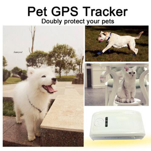 TKSTAR TK909 Pet Gps Tracker para animales con aplicación gratuita y seguimiento de PC con collar de perro con múltiples funciones de alarma - Product Image 5