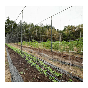 Weißes PP-Kunststoff-Garten netz