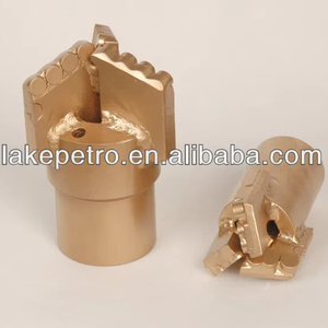 ISO9001认证PDC钻头-8毫米 ~ 19毫米刀具尺寸，减震器设计，用于深水和页岩钻井