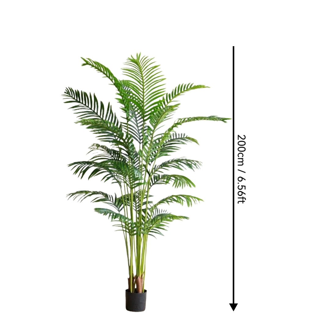 Vert 6,56 pieds/200 cm
