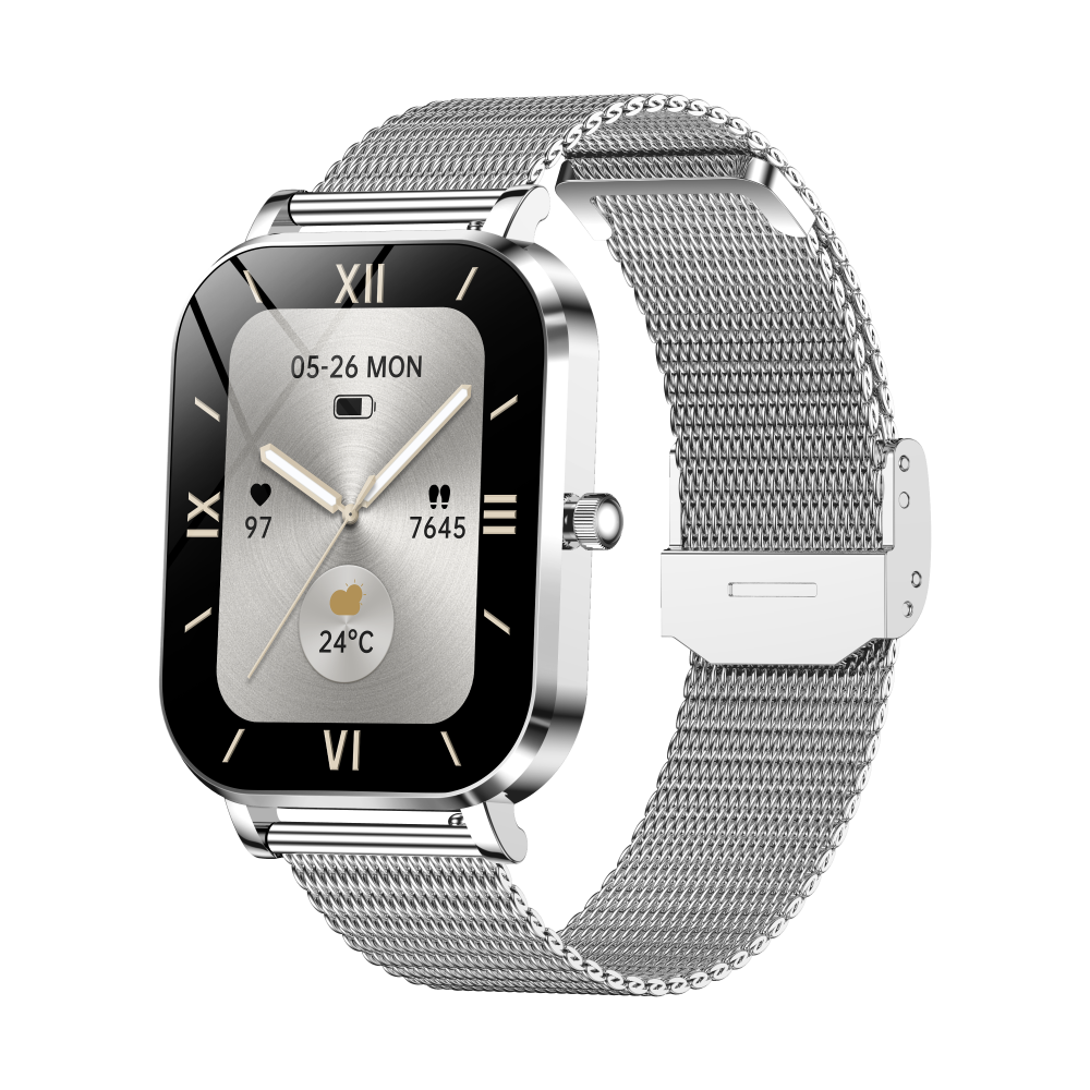Silver Frame+Silver Steel Strap