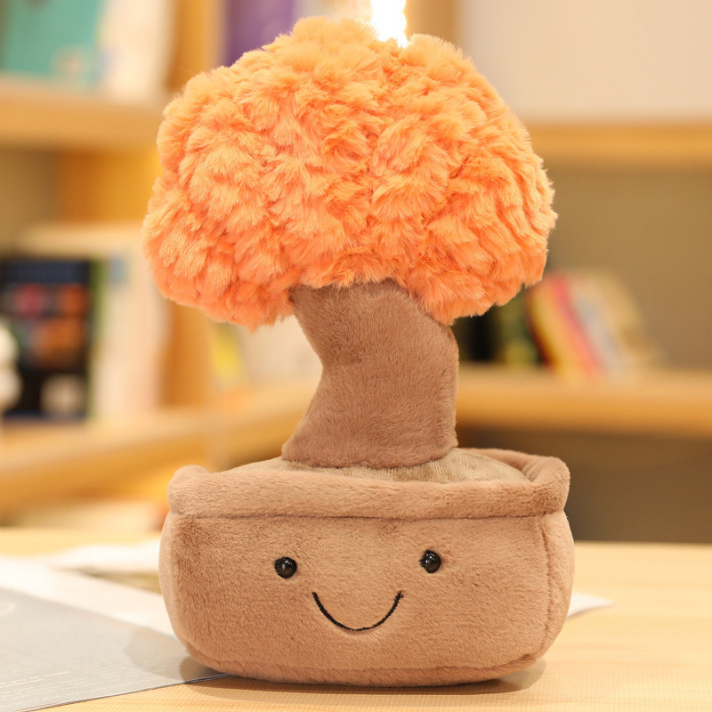 Money tree orange-25 cm-014 kg