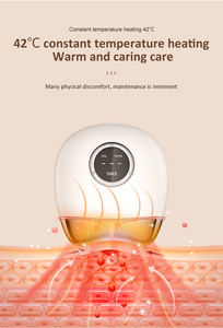 <span class=keywords><strong>2025</strong></span> xu hướng thiết bị massage cầm tay guasha công cụ điện tử Microcurrent trị liệu cho mặt và cổ massage - Product Image 3