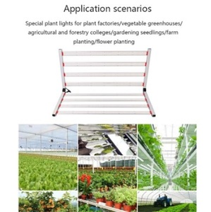 משלוח עצרת צמחים לגדול אור LED <span class=keywords><strong>1000</strong></span> ואט ספקטרום מלא הידרופוני LED לגדול אור <span class=keywords><strong>1000</strong></span> w led לגדול אור
