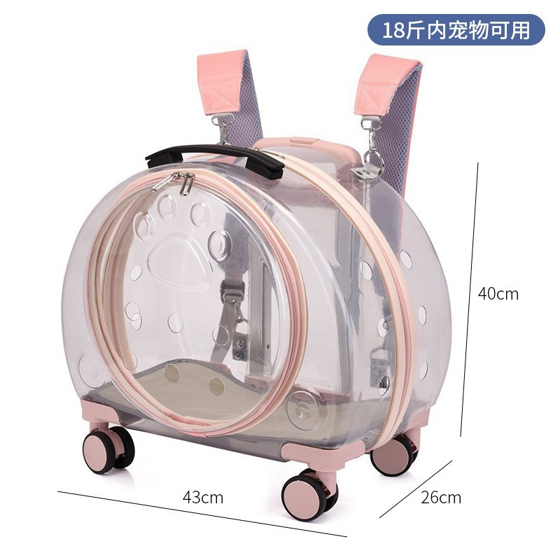 1904-2 Transparent Light Pink