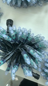Digital <strong>LED</strong> <strong>Pixel</strong> Light 12mm WS2811 IC Full Color <strong>Pixel</strong> <strong>LED</strong> Module Light DC 12V Input IP68 Waterproof RGB Color From Factory - Product Image 4