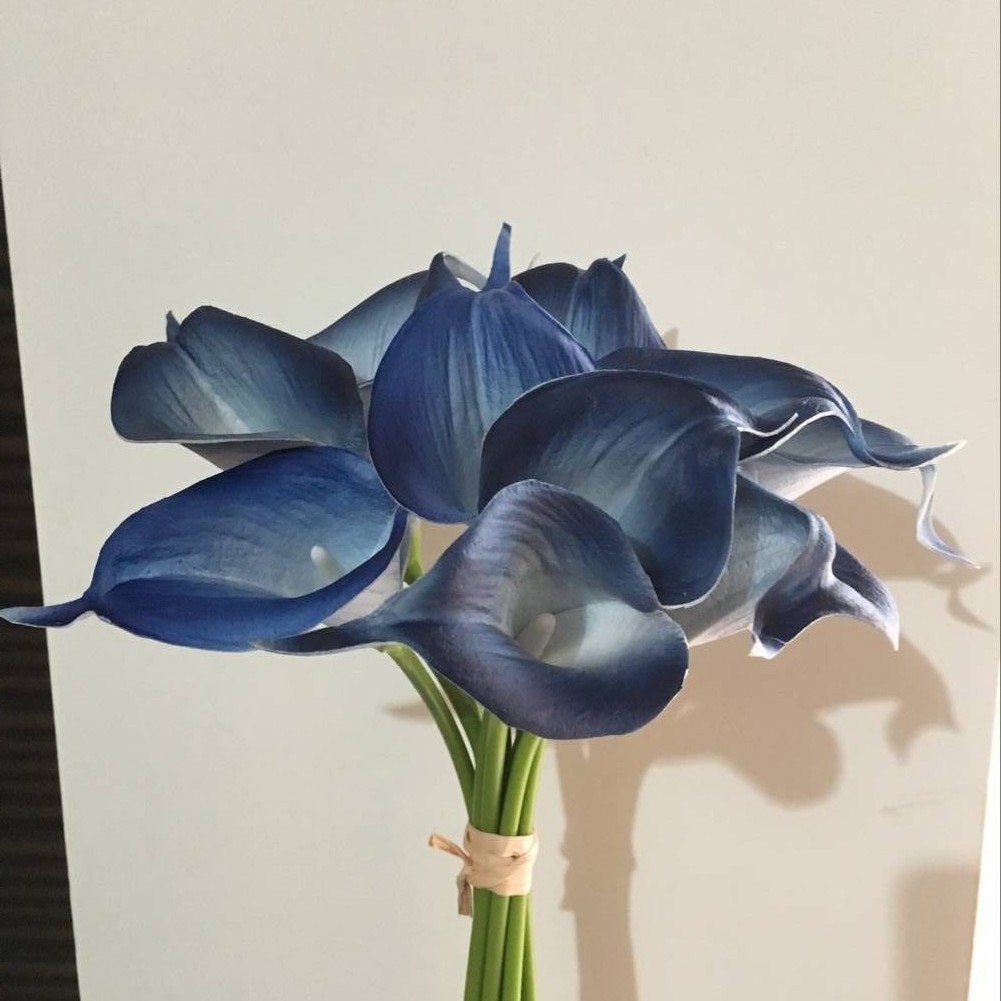 15 orquídeas negras