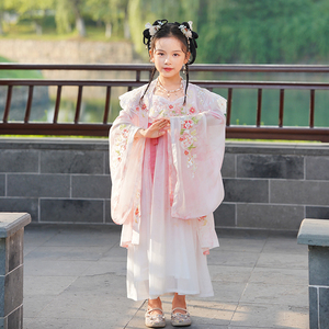 <strong>Tang</strong> <strong>Dynasty</strong> Girl Hanfu Fairy Hanfu Dress Hanfu Chinese Kid's Chinese Style Clothing for Girl - Product Image 5