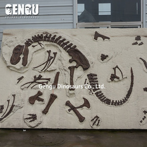 Los fósiles de modelo-Estado de fósiles de dinosaurios enterrado - Product Image 3