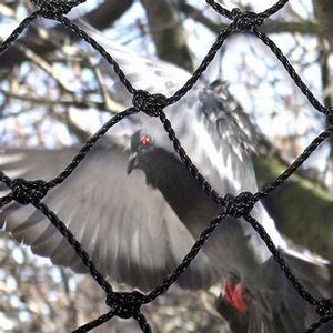 HDPE Nylon Anti Bird Netting Bird <strong>Net</strong> for Catching Birds/Garden Insect Netting