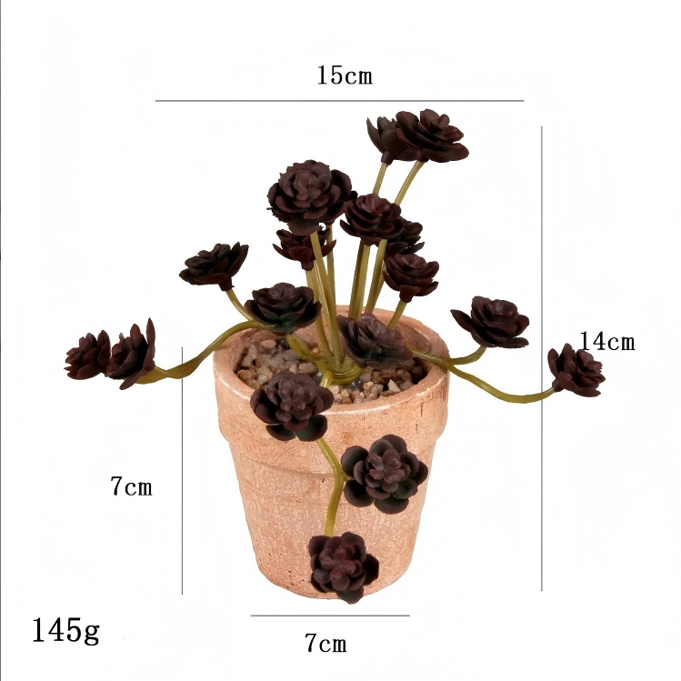 Fy5031e-purple-red small ball rose handle no2 pulp plant pot