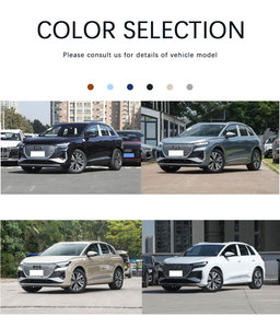 Bir U d I Q4 e-tron 2024 Model 40 e-tron yaratıcı baskı - Product Image 6