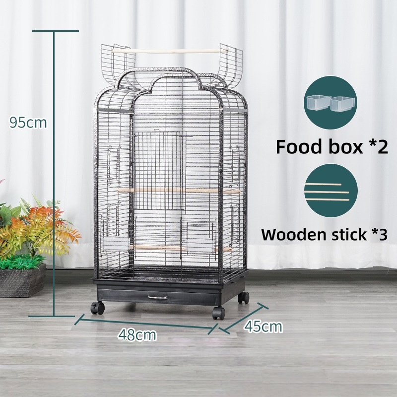 Édition standard A900 noire