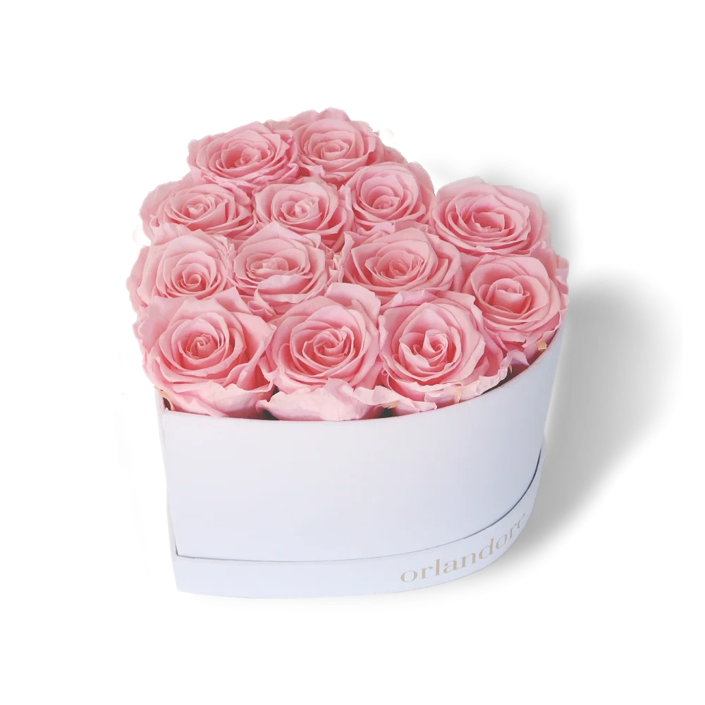 13 rose in scatola a forma di cuore