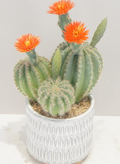 Arancione