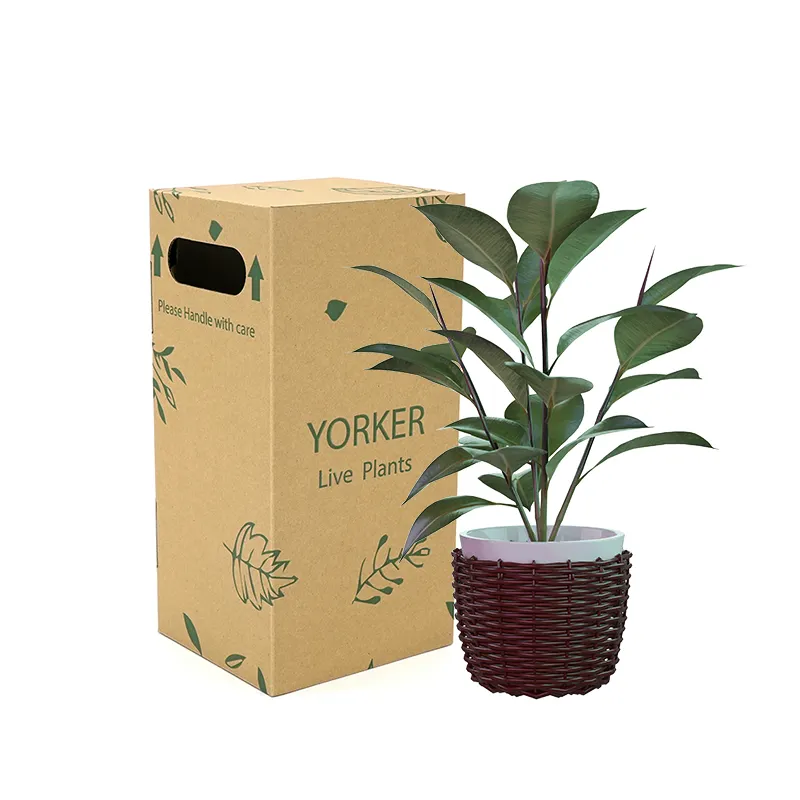 Venta al por mayor suculentas entrega caja de cartón larga caja de envío de plantas caja de cartón para plantas vivas en maceta