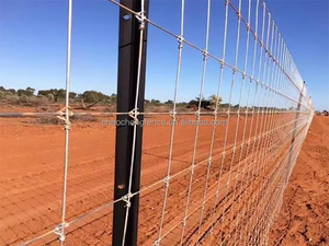 Mạ kẽm kim loại nho cổ phần hàng rào bài Vineyard cực cho vườn nho trellis - Product Image 4