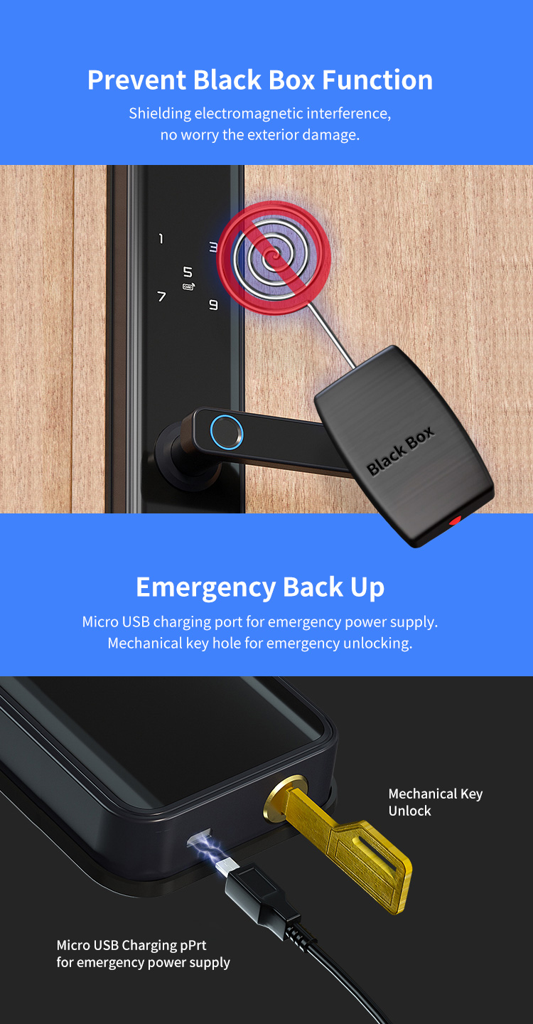 Economic Keyless Handle Fingerprint Door Lock with Wifi Tuya APP
