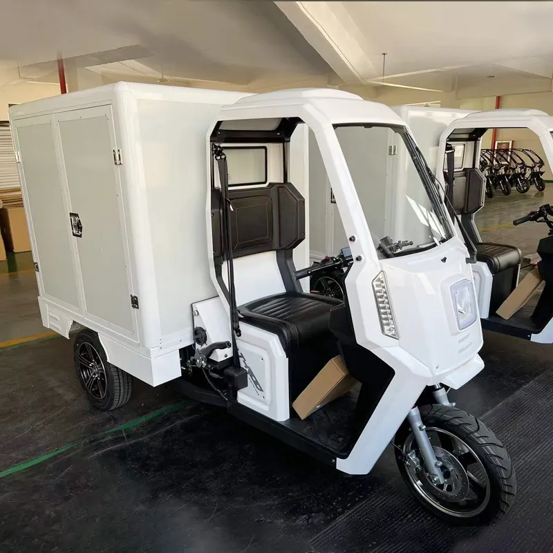 Três rodas de carga elétrica triciclo motocicleta, rickshaw totalmente fechado móvel scooter de carga scooter motor com cabina