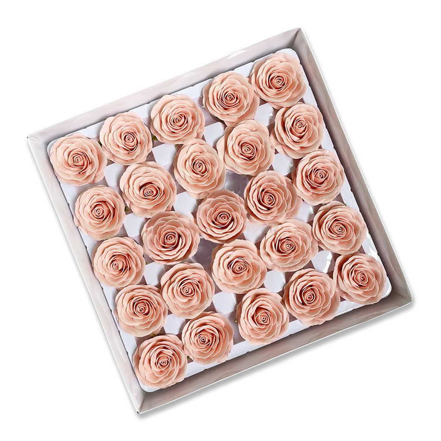 Rosa seca Awakening-z-7