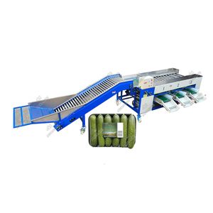 Minimáquina de clasificación de pepino, máquina de clasificación de tamaño de fruta y pepino - Product Image 4