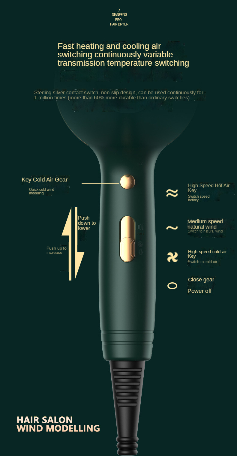Hot Selling Salon Professional Dc Motor Concentrator/diffuser/ionic And Induction Function Professional Blow Hair Dryer