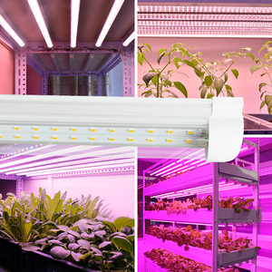 ระบบปลูกพืชไฮโดรโปนิกส์ไฟ LED 2ft ไฟปลูกพืชใน3ft แถบไฟปลูก4ft LED T8แบบบูรณาการ - Product Image 1