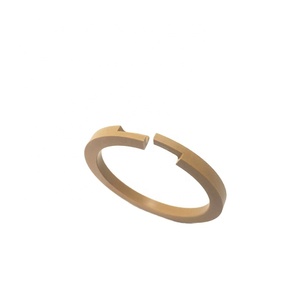 PI takviyeli PTFE kılavuz halka (Z tipi) - Product Image 2