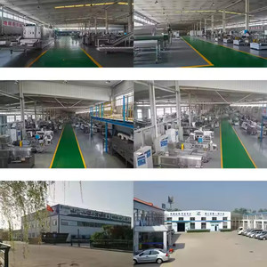 Linea di lavorazione a doppia vite per la colazione macchina per cereali Corn Flakes estrusore - Product Image 6