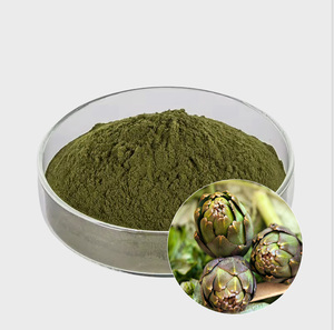 Chất lượng hàng đầu tự nhiên Atisô lá chiết xuất bột 5% cynarin 2.5% cynarin bột - Product Image 1