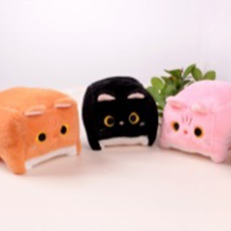 Gato del cubo