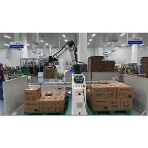 Profession elle Herstellung Promotion Preis New Style Automatische tragbare Roboter-Palettier maschine - Product Image 1