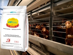 Mufeng 2% 層濃縮飼料/プレミックスフィードレイヤー使用飼料/有機高タンパク質鶏肉および鶏層フィードプレミックス - Product Image 5